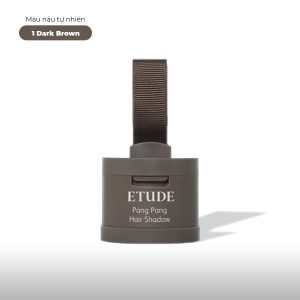 Phấn Phủ Etude Pang Pang Hair Shadow Che Khuyết Điểm Chân Tóc 3.5g
