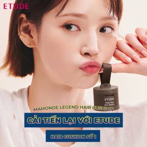 Phấn Phủ Etude Pang Pang Hair Shadow Che Khuyết Điểm Chân Tóc 3.5g