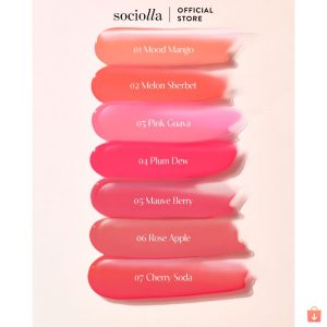 Son Tint Bóng Dasique Juicy Dewy Tint 3.5g