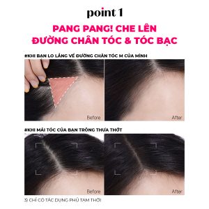 Phấn Phủ Etude Pang Pang Hair Shadow Che Khuyết Điểm Chân Tóc 3.5g